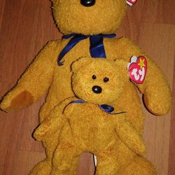 Ty Beanie and Buddy