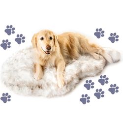 Orthopedic Dog Bed