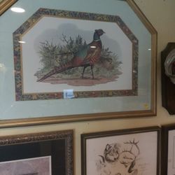 Pheasant Picture with Triple Matted Gold Frame