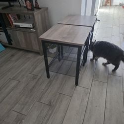 2 End Tables 