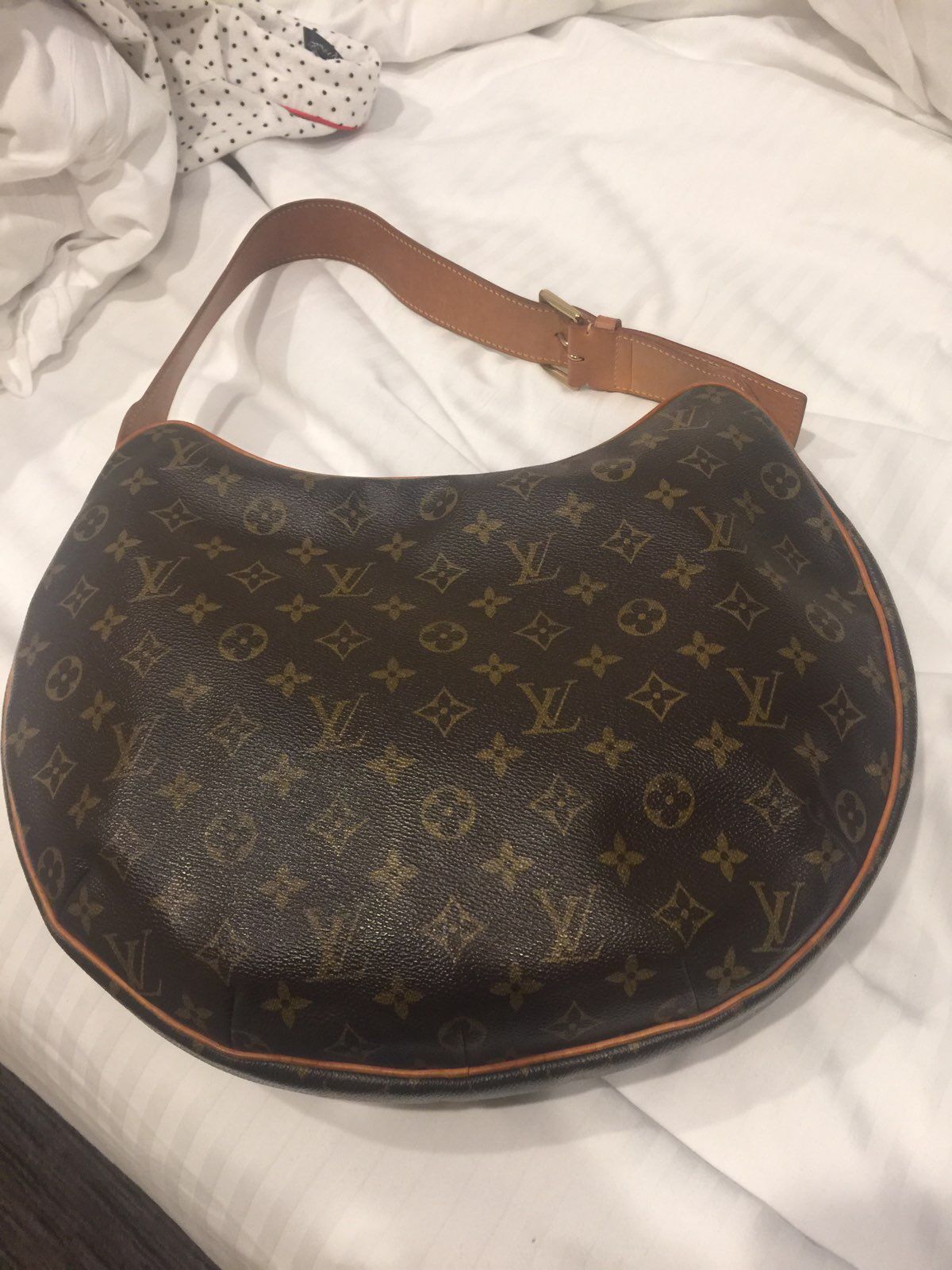LV bag authentic