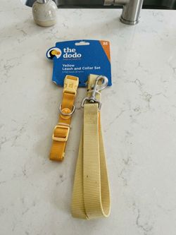 The Dodo Yellow & Orange Leash and Collar Set Size Medium 13-20 Inch Neck For Dogs 5 Feet
