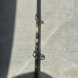 Penn Ally Fishing Rod