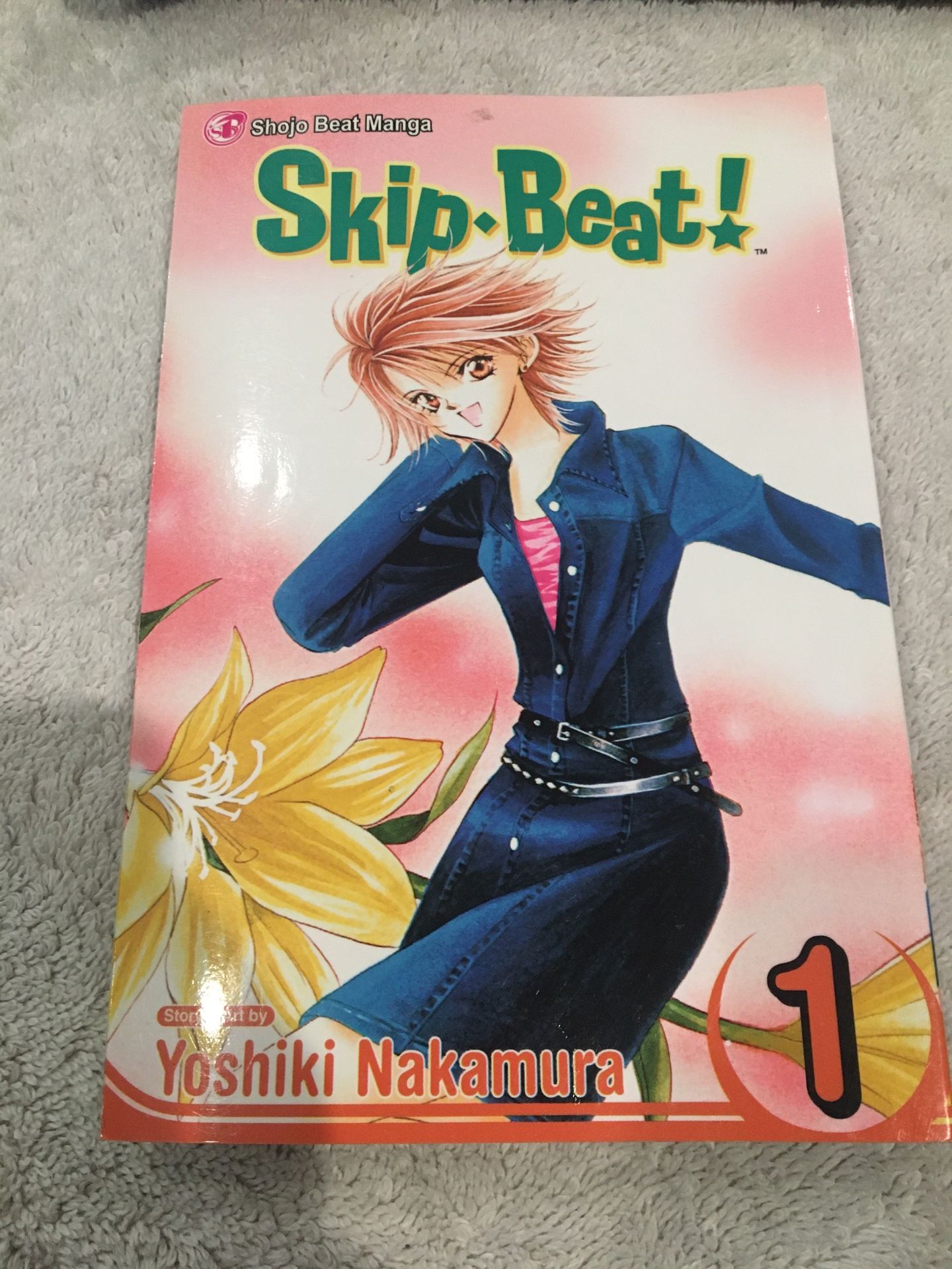 Skip Beat manga