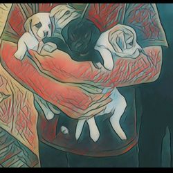 Free !Art For A New Home ) if you know what i mean)