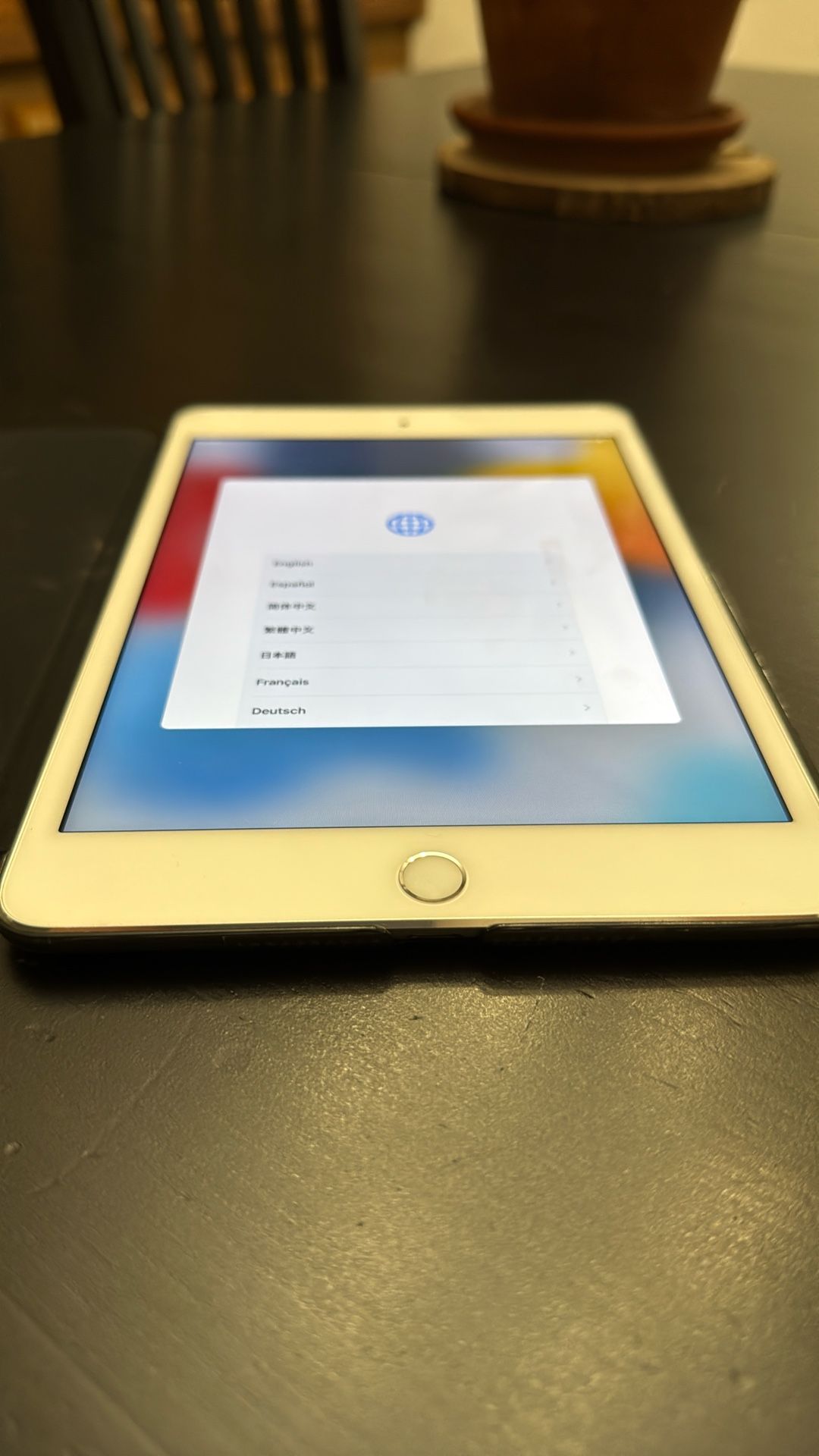 iPad mini 4 Cellular