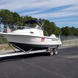 2001 boat 2003 motor 2006 trl Seafox      200 HP Evinrude Engine 230 Walkaround