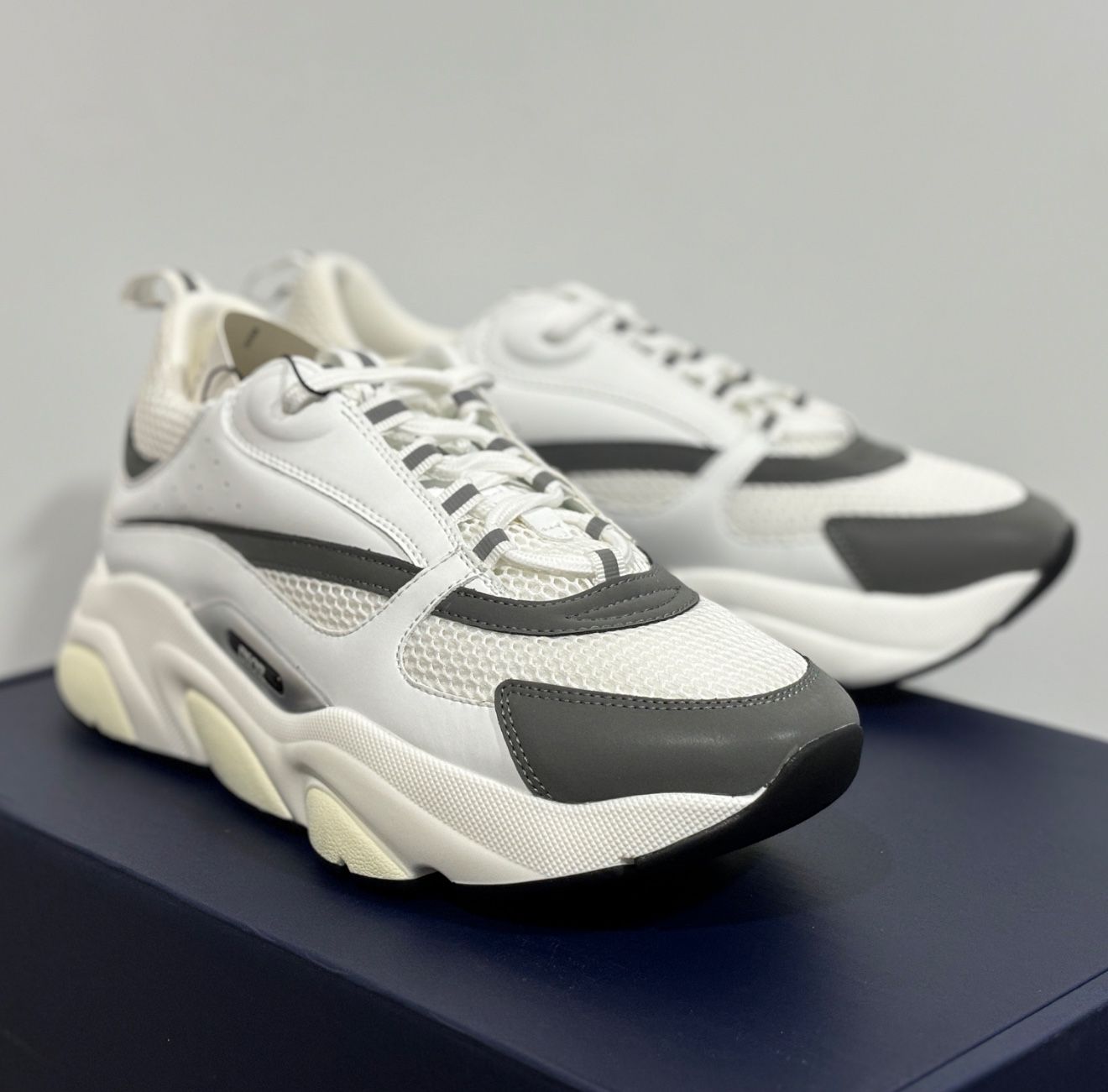 Dior b22 White Silver (9)