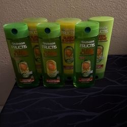 Garnier Fructis Shampoo & Conditioner T