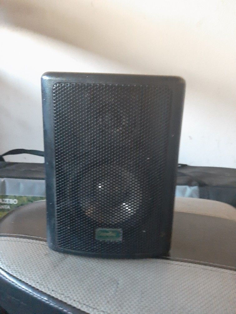 Speaker