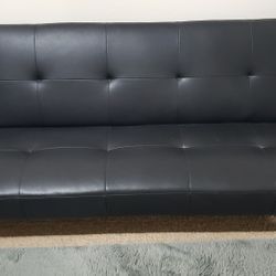 Futon Sofa Bed - $100