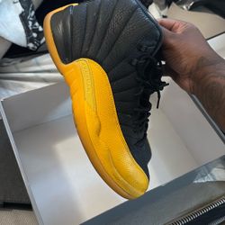 Jordan 12s