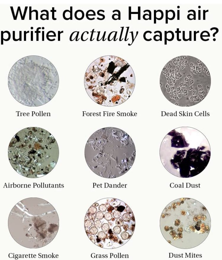 Air Purifier
