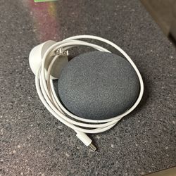google home