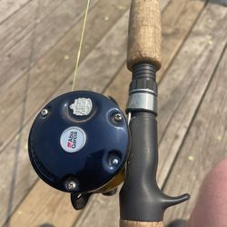 Fishing rod and reel
