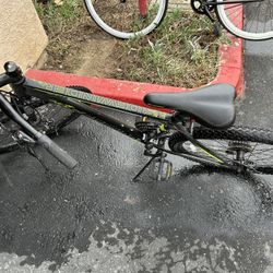 Schwinn Adult Mountain Bike 