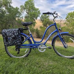 Dutch Double Pannier Saddlebags For Bicycle, $50