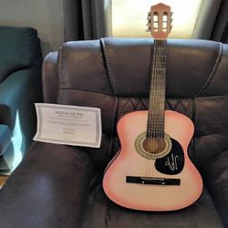 Acoustic Guitar - Amazing Music and Timeless Quality include green