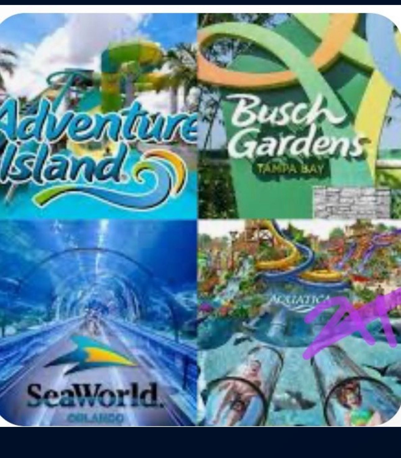 Tickets are now $40 Sea World, Busch Gardens, Tampa, Orlando