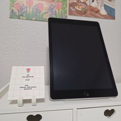 APPLE 32 GB iPad 5th Gen