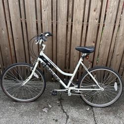 Diamond Back Fleet Streak 