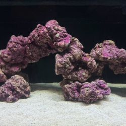 Fish Tank Purple Reef Rocks 