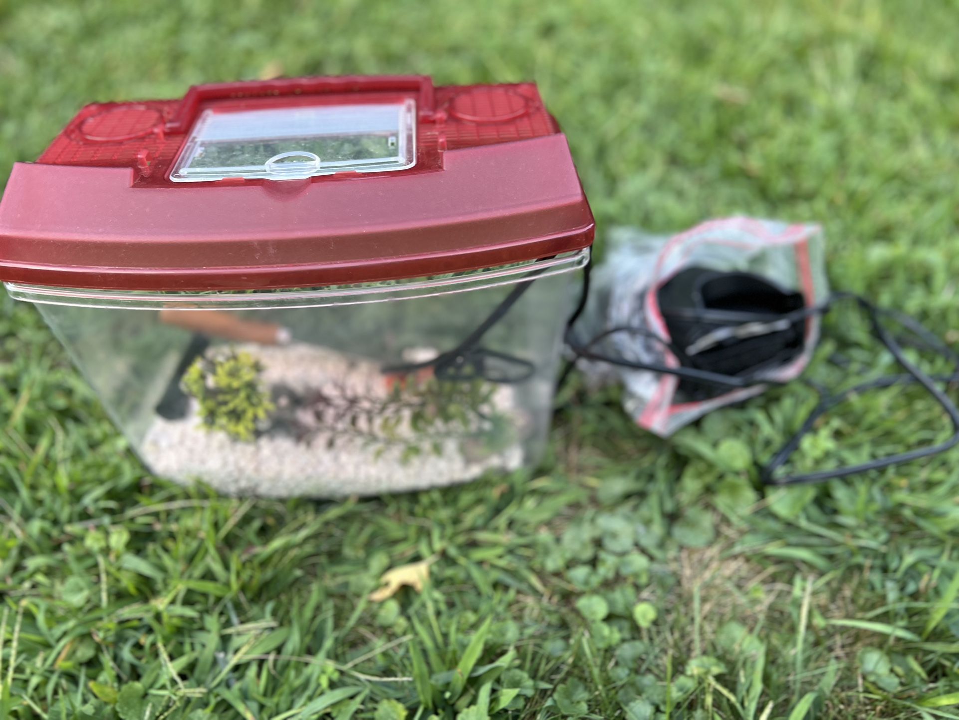 Small Fish Tank