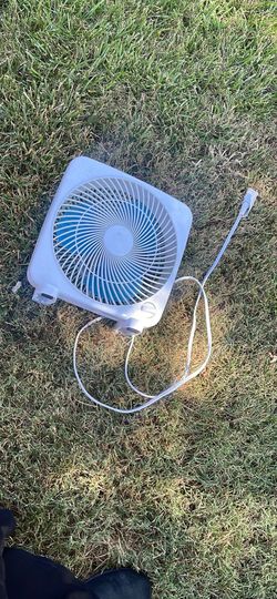 Fan