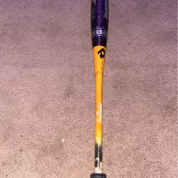 Metal Youth Bat 