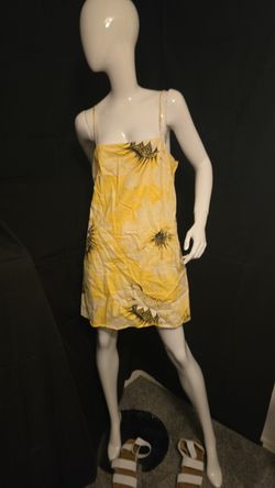 Sunflower Cutie