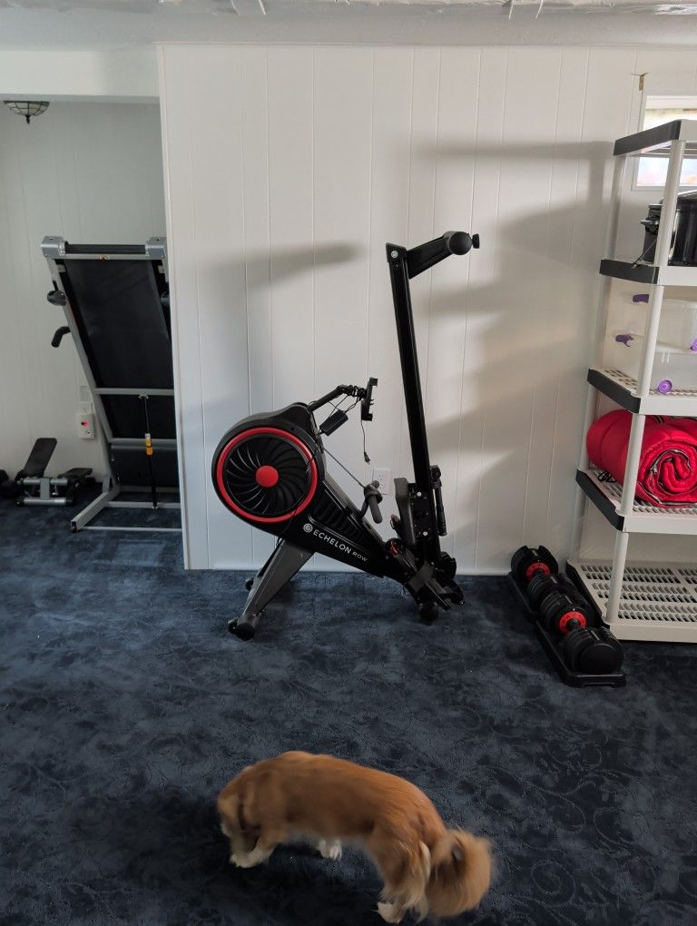 Folding Echelon Rowing Machine