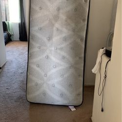 Twin size bed mattress only