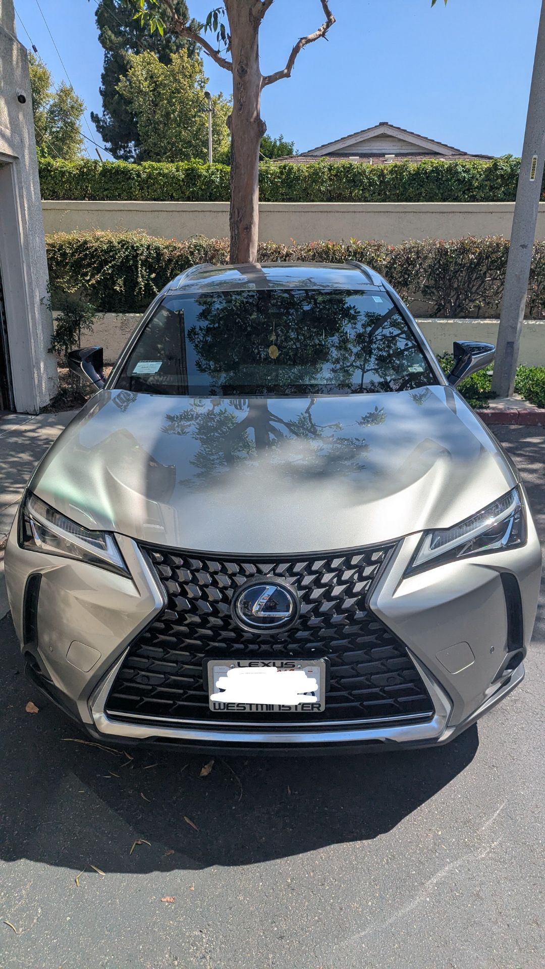 2021 Lexus UX 250h