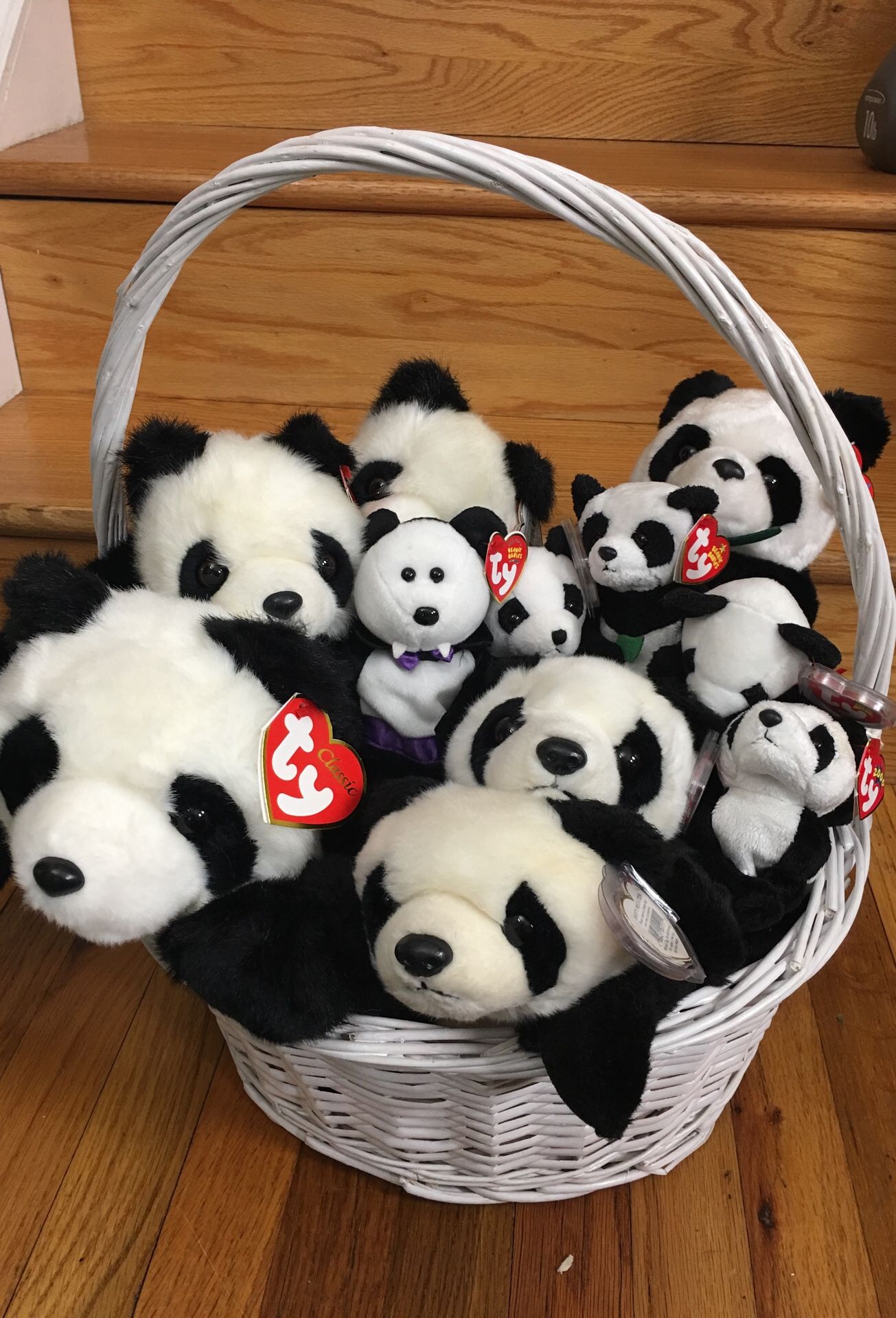 *Rare* Panda Beanie Babies Lot