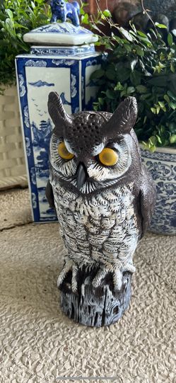 bird Deterrent/Owl garden ornament