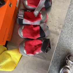 Dogs Shoes