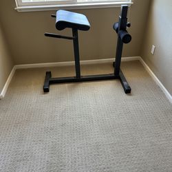 Back & Abs crunch bench