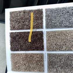 CARPET