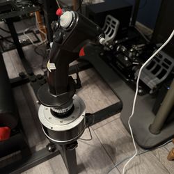 Thrustmaster Warthog Flight Stick