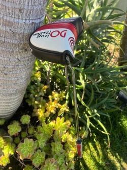 └➤➤➤ Men's Right-Handed Golf Putter | Odessey 2-Ball | White Hot OG