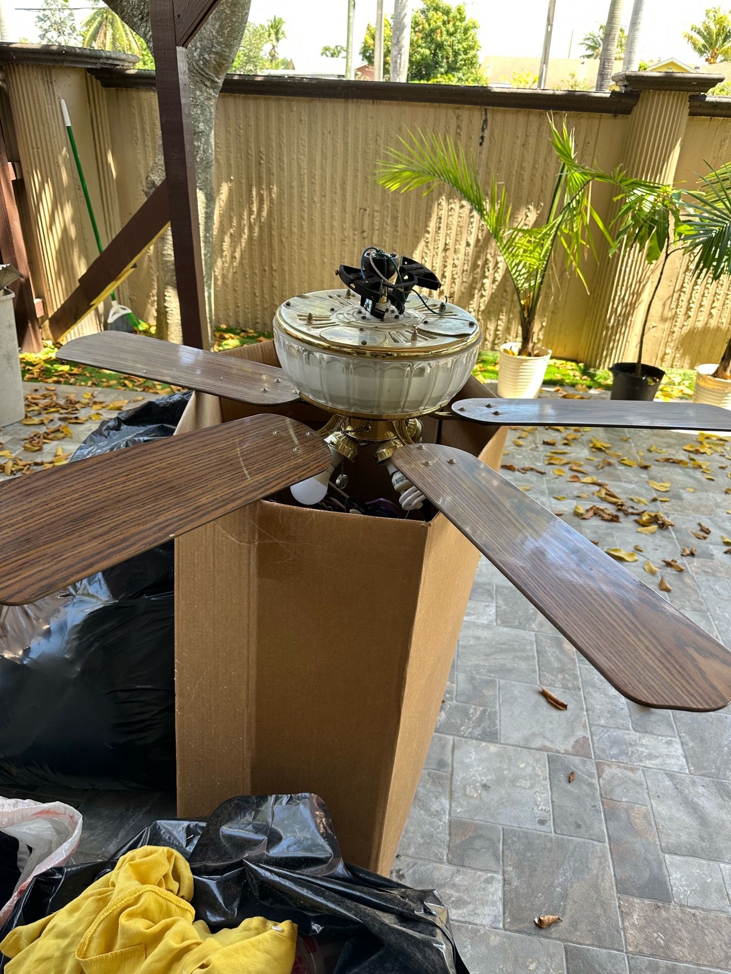 Ceiling Fan free free free free