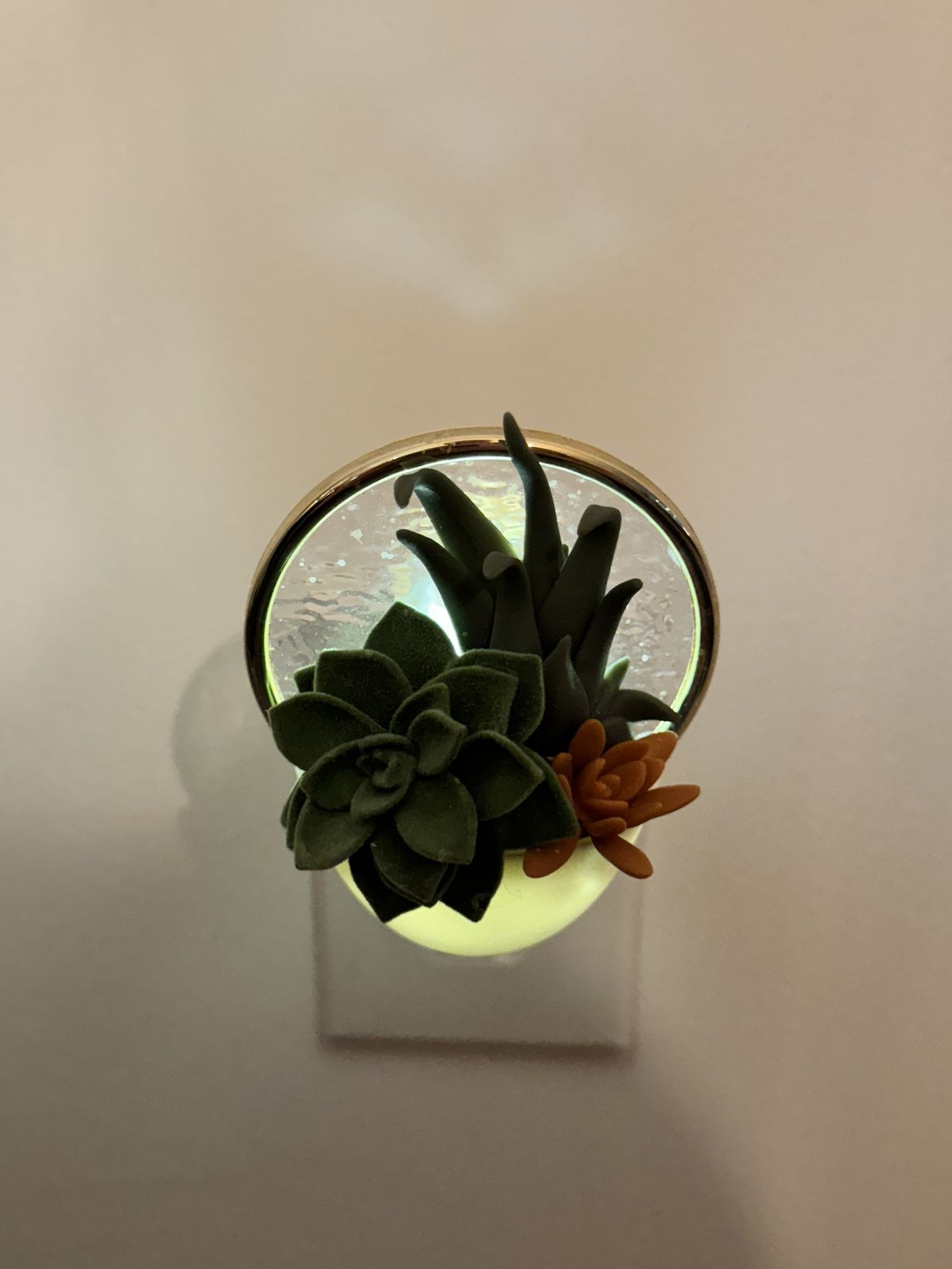 Bath & Body Works Scent Wallplug