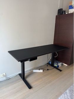 BDI Electric Standing Desk 60W x 24D