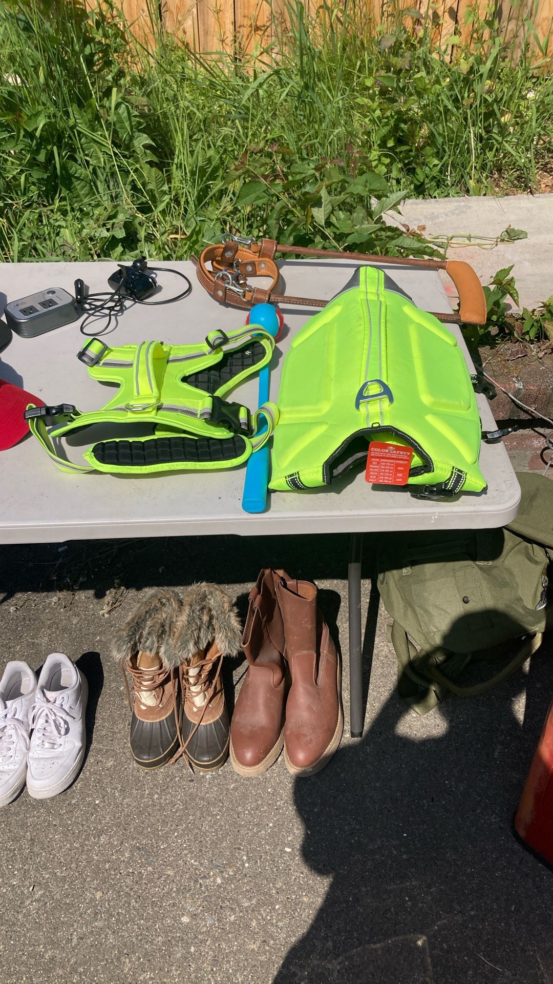 Dog, Life, Jacket, And Harness