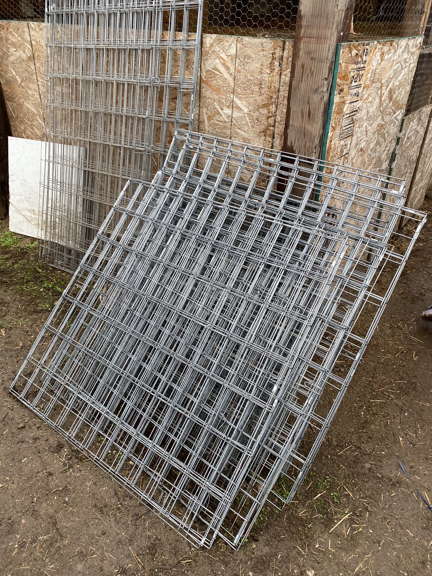 Fly pens for chickens