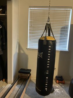 Everlast Punching Bag