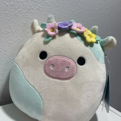 Squishmallows 
