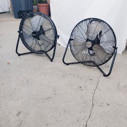 Fan - $20 Each