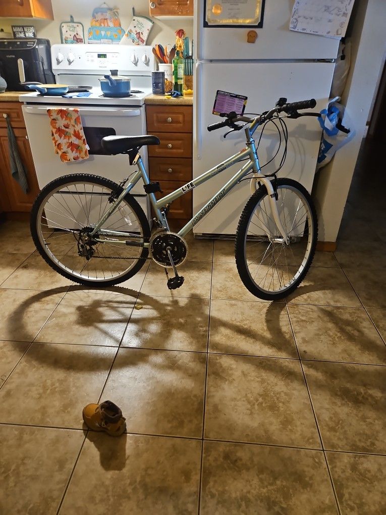 Work Out Bike