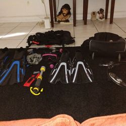 Diving Equipment 